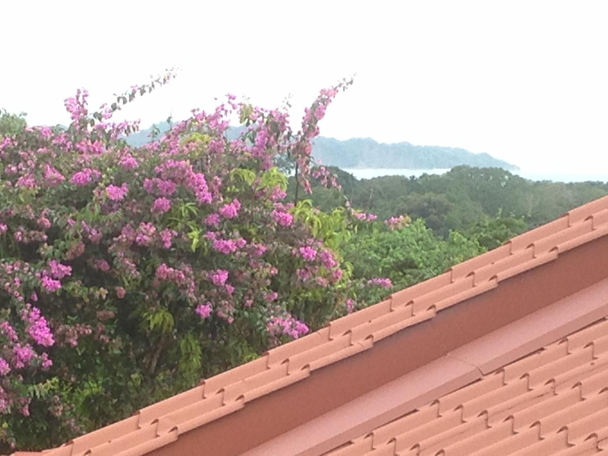 Villa Mango B&B ノサラ エクステリア 写真