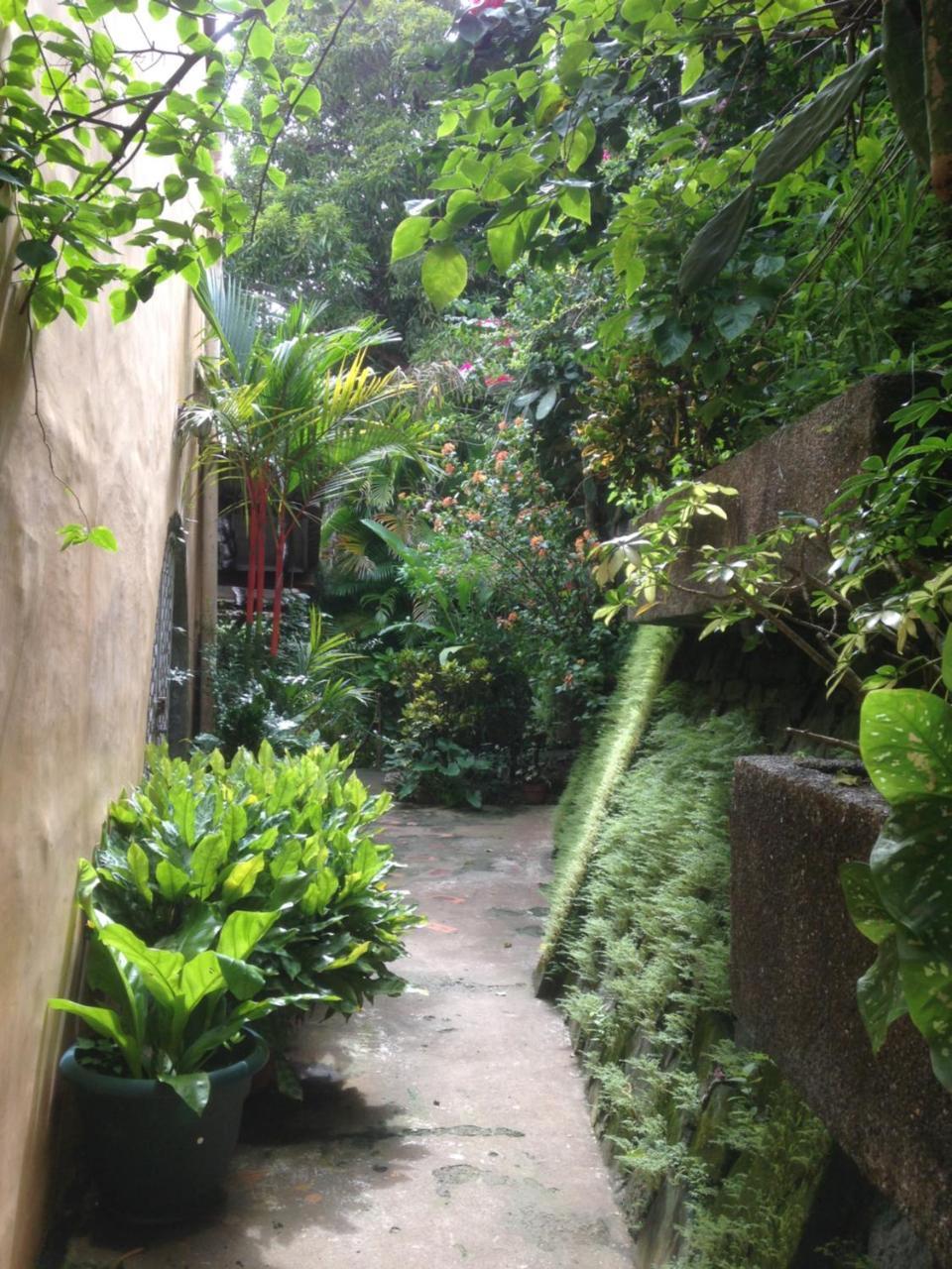 Villa Mango B&B ノサラ エクステリア 写真
